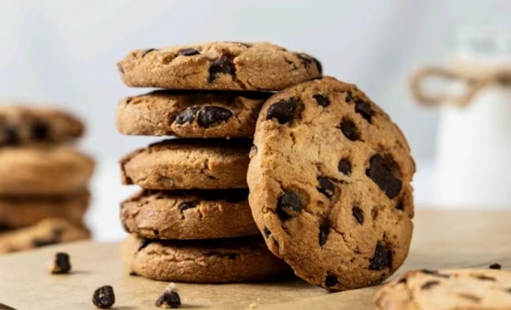 腾博会官网·专业效劳,诚信为本